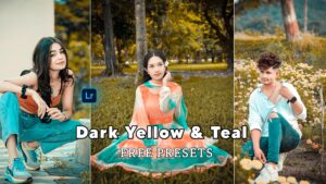 Dark Yellow And Teal Lightroom Presets