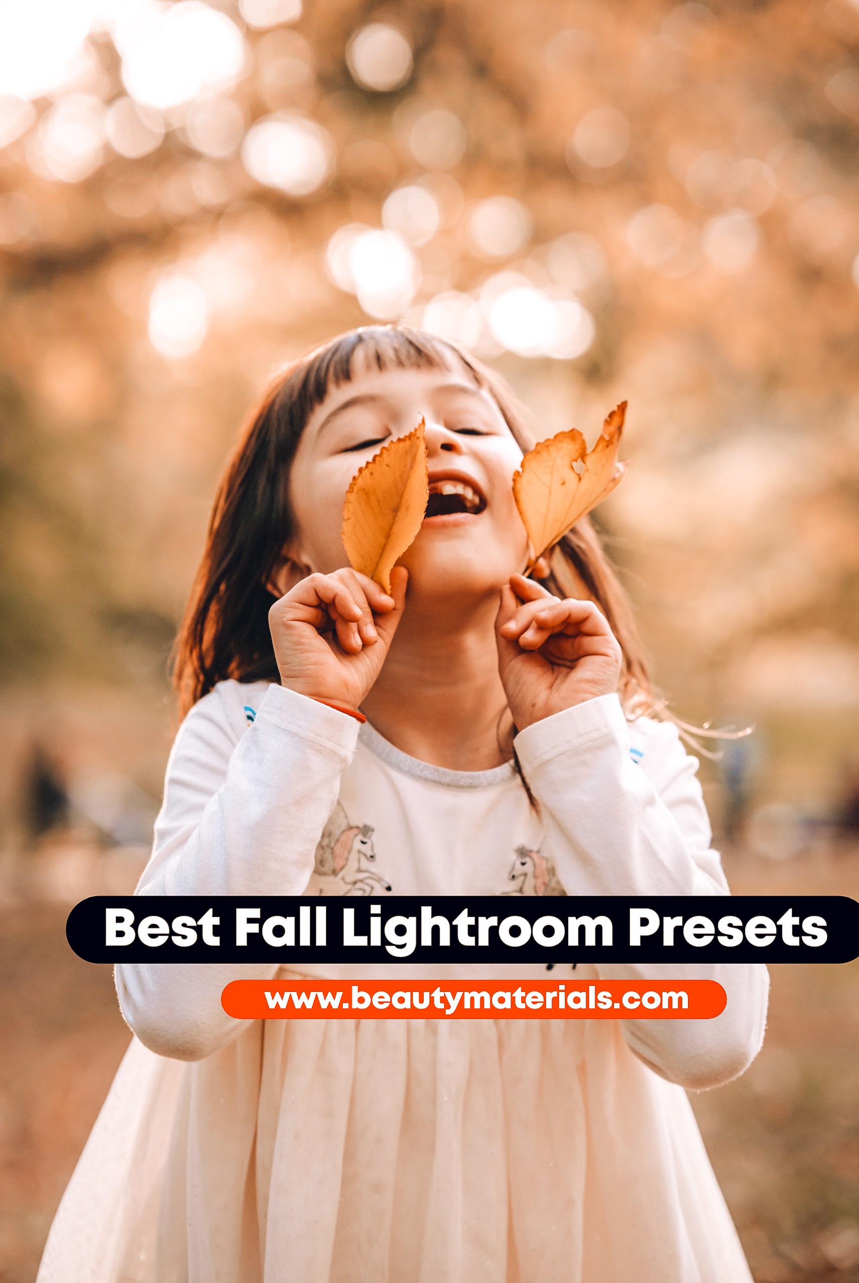 Best Fall Lightroom Presets 