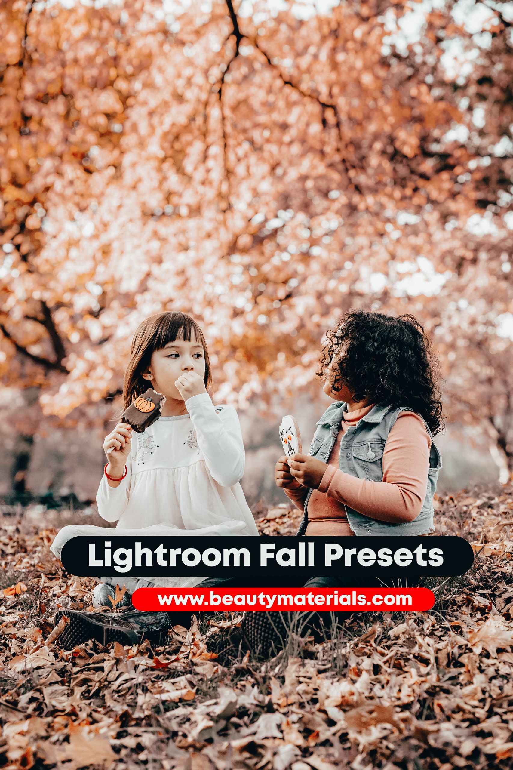 Lightroom Fall Presets 